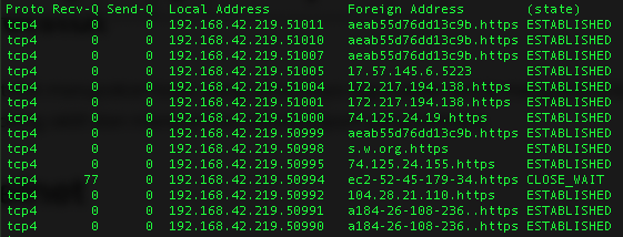 netstat